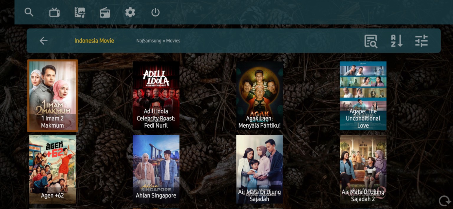 VOD Indonesia — paparan SEENTV dalam aplikasi