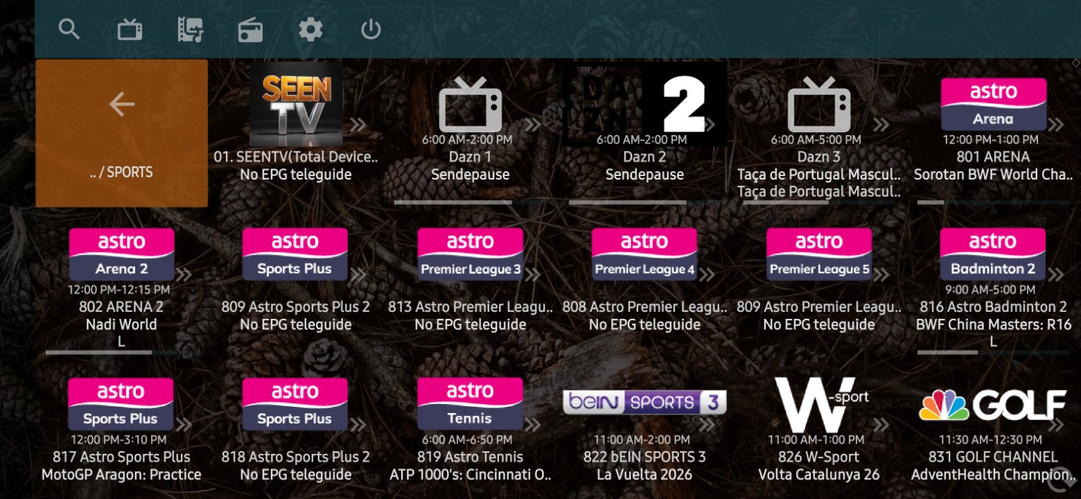 Channel Sukan — paparan SEENTV dalam aplikasi
