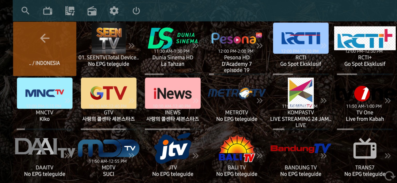 Channel Indonesia — paparan SEENTV dalam aplikasi